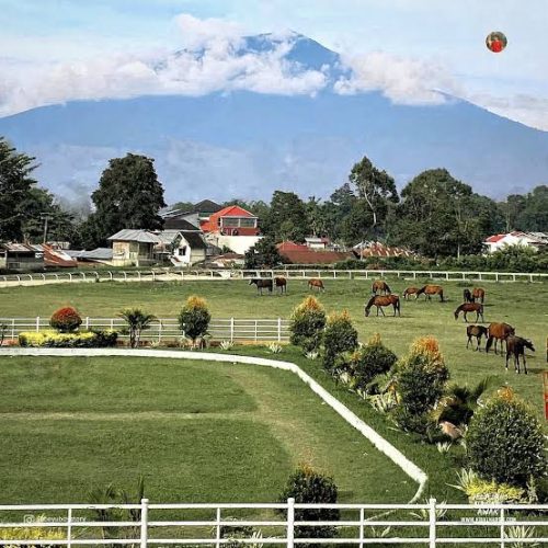 Area Berkuda (ilustrasi) Area Berkuda (ilustrasi)