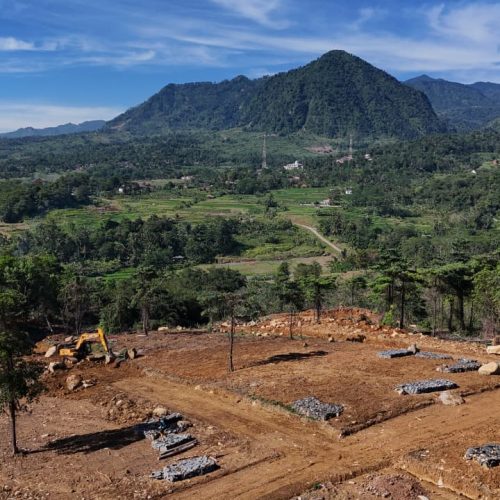 WhatsApp Image 2025-08-29 at 10.31.59 WhatsApp Image 2025-08-29 at 10.31.59